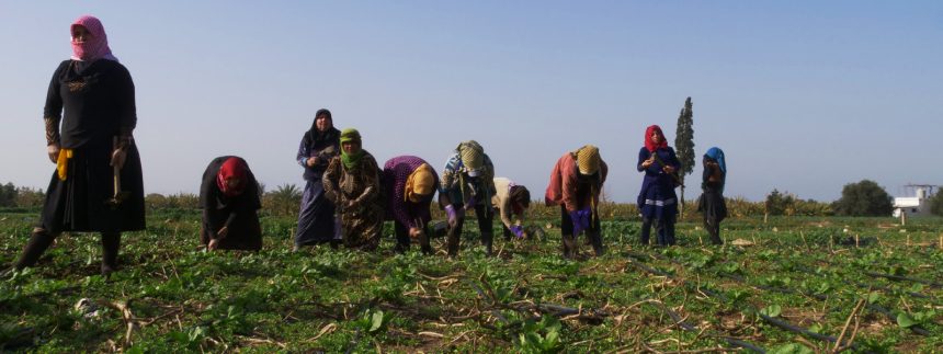 Unemployment, a major problem faced by Syrian and Lebanese in Tyre